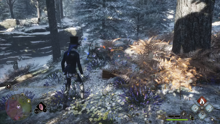 Gdy przejdziecie przez most, motyle wylecą z powrotem nad ścieżkę - Hogwarts Legacy: Podążaj za motylami (Follow the Butterflies) - Hogwarts Legacy - poradnik do gry