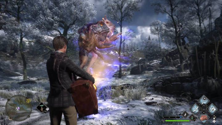 Przejdźcie do miejsca na mapie świata, użyjcie na zwierzęciu zaklęcia Levioso i skorzystajcie z cap-sakwy, aby je złapać - Hogwarts Legacy: Zadanie Profesor Howin (Professor Howins Assignment) - Hogwarts Legacy - poradnik do gry