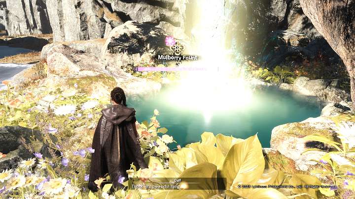 Founts of Blessing widoczne na powyższym obrazku, to specjalne źródła, w których Frey może za darmo nauczyć się nowej umiejętności - Forspoken: Porady na start - Forspoken - poradnik do gry