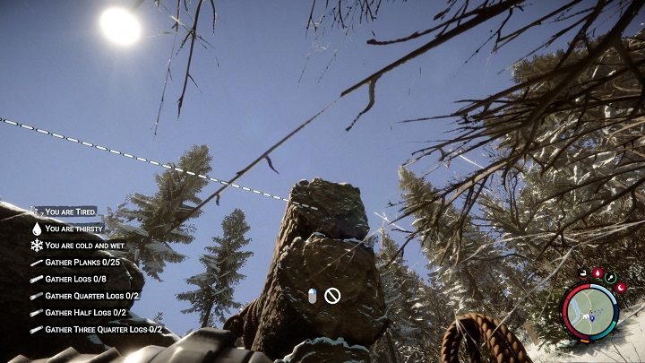 Wybierzcie linę z ekwipunku i podejdźcie do jednej ze ścian - Sons of the Forest: Elementy schronienia - Sons of the Forest - poradnik do gry