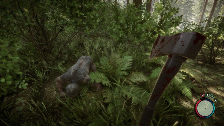 Zaatakują one jednak w momencie, gdy zostaną sprowokowane - Sons of the Forest: Kanibale - Sons of the Forest - poradnik do gry