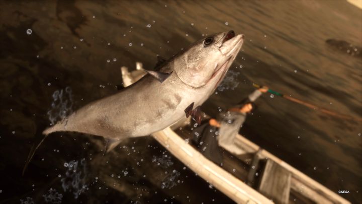 Klucz do sukcesu to wciśnięcie przycisku interakcji w momencie gdy zanurzy się spławik - Like a Dragon Ishin: Łowienie ryb - Like a Dragon Ishin - poradnik do gry