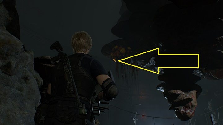 5 - Resident Evil 4 Remake: Insect Hive - Resident Evil 4 Remake - poradnik do gry