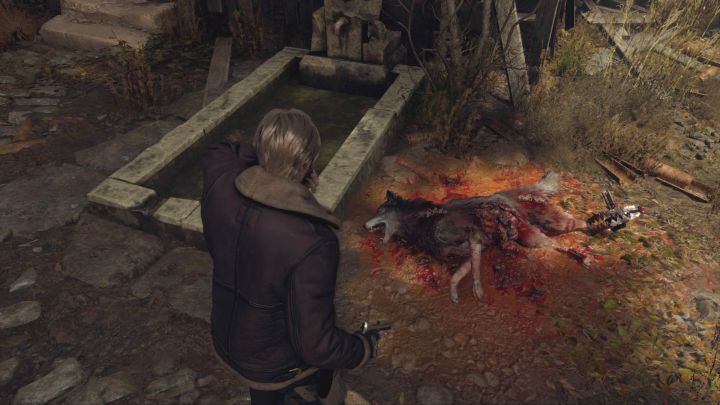 Okoliczności pierwszego spotkania z psem różnią się w wersji remake w porównaniu z oryginalną wersją gry - Resident Evil 4 Remake: Czy można uratować psa? - Resident Evil 4 Remake - poradnik do gry