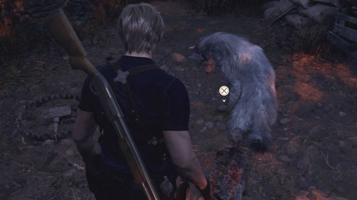 Uwolnienie psa z pułapki jest bardzo proste - wystarczy do niej podejść i wcisnąć przycisk interakcji - Resident Evil 4 Remake: Czy można uratować psa? - Resident Evil 4 Remake - poradnik do gry