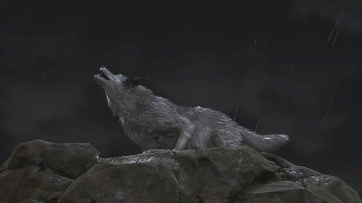 2 - Resident Evil 4 Remake: Czy można uratować psa? - Resident Evil 4 Remake - poradnik do gry