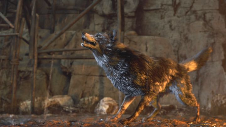 Jeżeli w rozdziale 3 pomogliście uwięzionemu psu, to możecie teraz liczyć na jego pomoc - Resident Evil 4 Remake: Jak pokonać bossa El Gigante? - Resident Evil 4 Remake - poradnik do gry