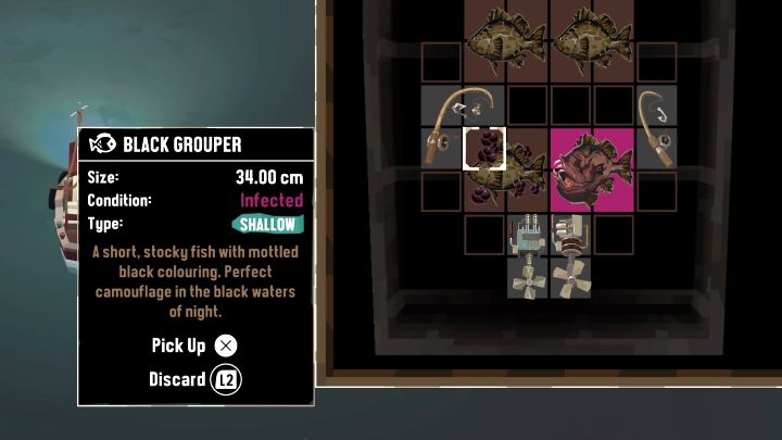 Infected to stan (Condition), w którym mogą znaleźć się transportowane złowione ryby - przykład takiego stanu dla ryby Black Grouper pokazuje dołączony obrazek - Dredge: Czym są Infected Fish? - Dredge - poradnik do gry