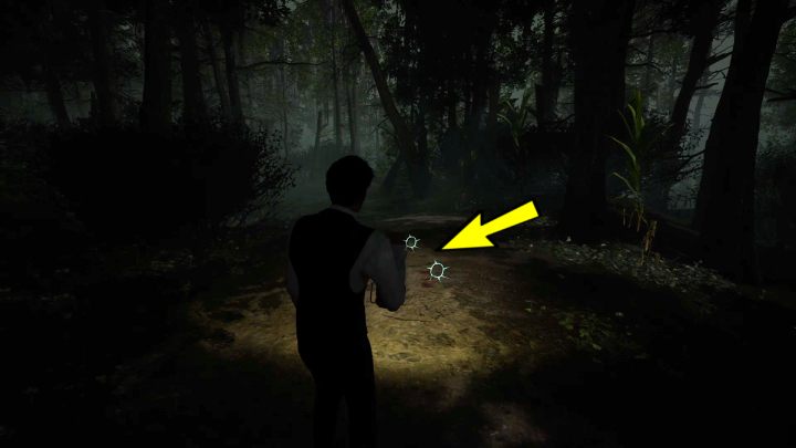 Po dotarciu na wyspę, idźcie prosto i skręćcie w prawo - Sherlock Holmes The Awakened: Mokradła (The Swamp) - Sherlock Holmes The Awakened - solucja