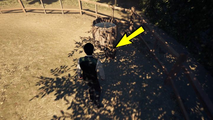 Wejdźcie do zagrody obok stajni i podnieście wiadro - Sherlock Holmes The Awakened: Ogród Posiadłości Arnesona (Arnesons Mansion) - Sherlock Holmes The Awakened - solucja