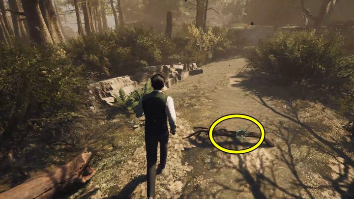 Na koniec w trybie koncentracji (concetration) zbadajcie urwaną gałąź przy uciętych palcach - Sherlock Holmes The Awakened: Ogród Posiadłości Arnesona (Arnesons Mansion) - Sherlock Holmes The Awakened - solucja