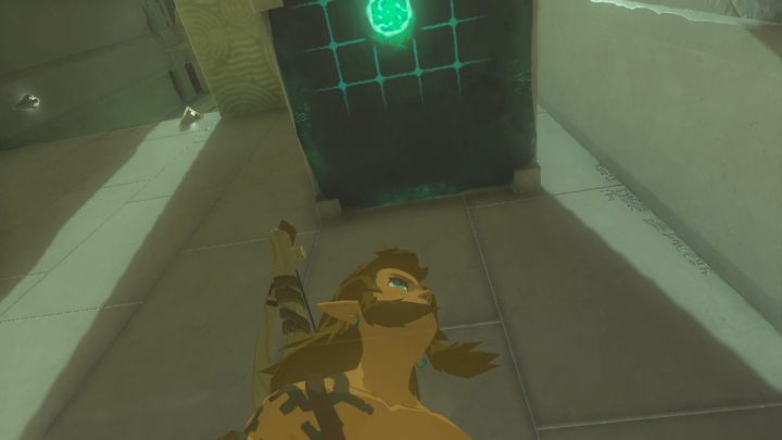 Podejdźcie pod ruszającą się platformę i przebijcie się na górę - Zelda Tears of the Kingdom: Gutanbac Shrine - Zelda Tears of the Kingdom - poradnik do gry