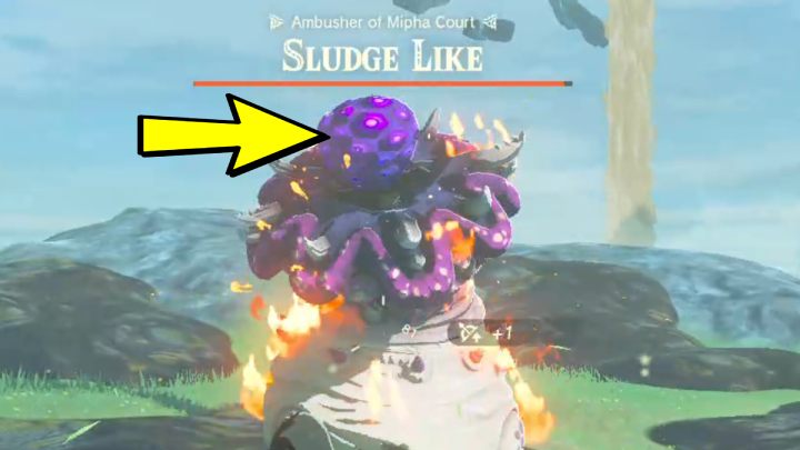 Używajcie ataków z dodatkiem wody, aby pozbywać się Sludge z potwora - Zelda TotK: Sidon of the Zora - opis przejścia - Zelda Tears of the Kingdom - poradnik do gry