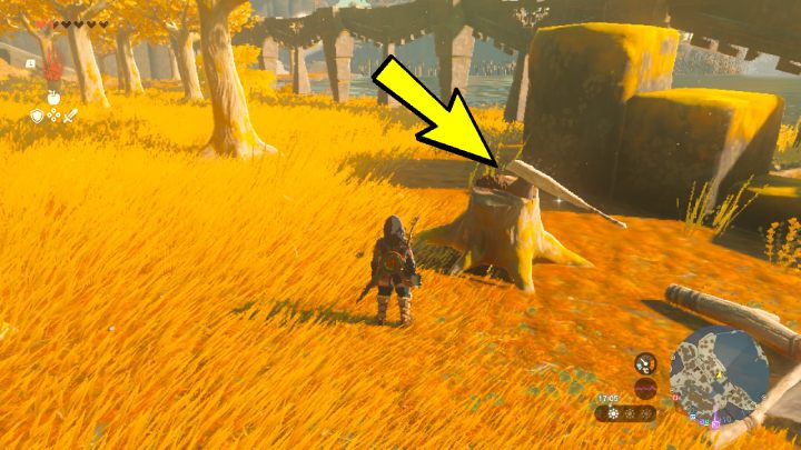 Jezioro jest zbyt duże, żeby Link mógł przepłynąć wpław - Zelda Tears of the Kingdom: Wszystkie Shrines na Great Sky Island - Zelda Tears of the Kingdom - poradnik do gry