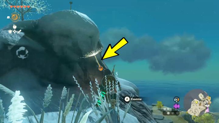 Gdy dotrzecie na miejsce, uderzcie kwiat trzymaną w ręku bronią i szybko zeszkoczcie na niższą skałę - Zelda TotK: Dandelion puzzle - Zelda Tears of the Kingdom - poradnik do gry