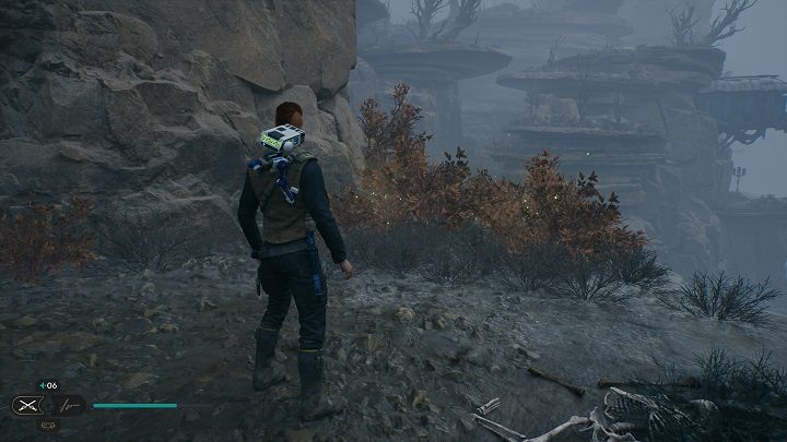 Obok poprzedniej znajdźki znajdują się trzy krzewy, z których zdobędziecie nasiona - Jedi Survivor: Mglisty przestwór - lista sekretów - Star Wars Jedi Survivor - poradnik do gry