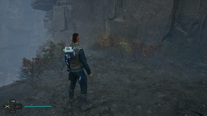 W pobliżu wyżej opisanego odłamka są dwa krzewy z nasionami - Jedi Survivor: Mglisty przestwór - lista sekretów - Star Wars Jedi Survivor - poradnik do gry