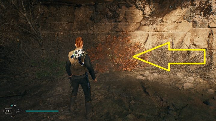 Niedaleko jest mały krzew, z którego zdobędziecie porcję nasion - Jedi Survivor: Górskie wzniesienie - lista sekretów - Star Wars Jedi Survivor - poradnik do gry