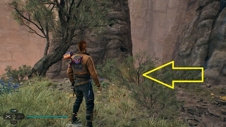 Niedaleko od wpisu danych jest kolejna porcja nasion - Jedi Survivor: Zniszczona Osada na planecie Koboh (część 1) - Star Wars Jedi Survivor - poradnik do gry