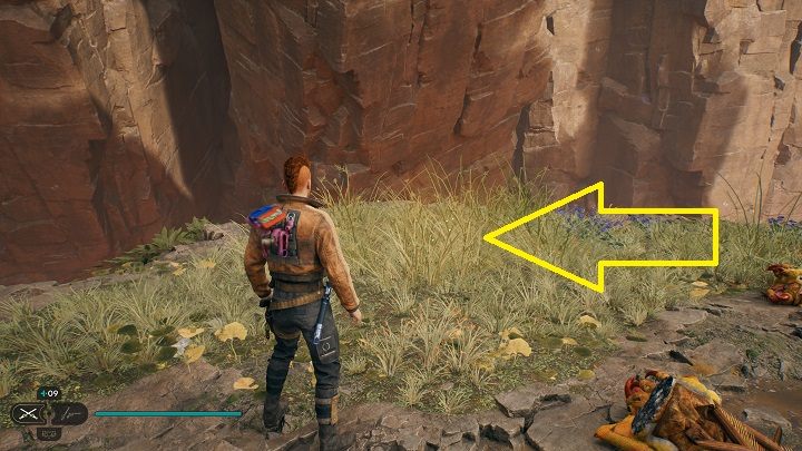 Niedaleko skrzyni znajduje się roślina z nasionami - Jedi Survivor: Zniszczona Osada na planecie Koboh (część 1) - Star Wars Jedi Survivor - poradnik do gry