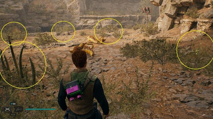 Znajdziecie tam 5 roślin, z których będziecie mogli wziąć nasiona - Jedi Survivor: Kręty Wąwóz - lista sekretów - Star Wars Jedi Survivor - poradnik do gry