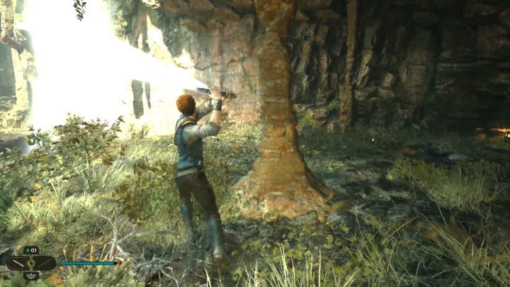 Idźcie, jak ścieżka prowadzi, przecinając po drodze grube pnącza blokujące drogę - Star Wars Jedi Survivor: Leśny węzeł (The Forest Array) - Star Wars Jedi Survivor - poradnik do gry