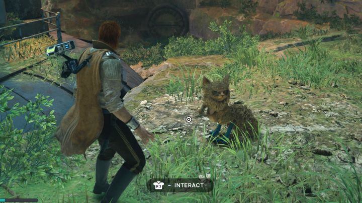 Komentarz: Bagniaki to małe przyjazne stworzenia, które możecie napotykać począwszy od dotarcia na Koboh - Star Wars Jedi Survivor: Trofea / Osiągnięcia - lista wszystkich, poradnik trofeowy - Star Wars Jedi Survivor - poradnik do gry