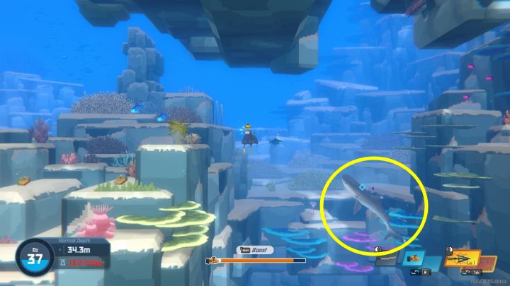 5 - Dave the Diver: Jak przyrządzić potrawę Whole Roasted Shark Head? - Dave the Diver - poradnik do gry