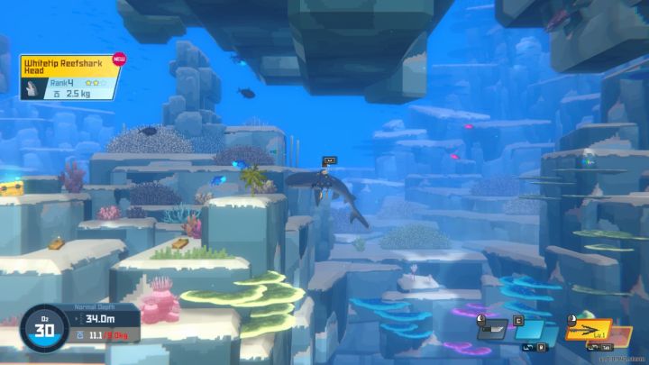 7 - Dave the Diver: Jak przyrządzić potrawę Whole Roasted Shark Head? - Dave the Diver - poradnik do gry