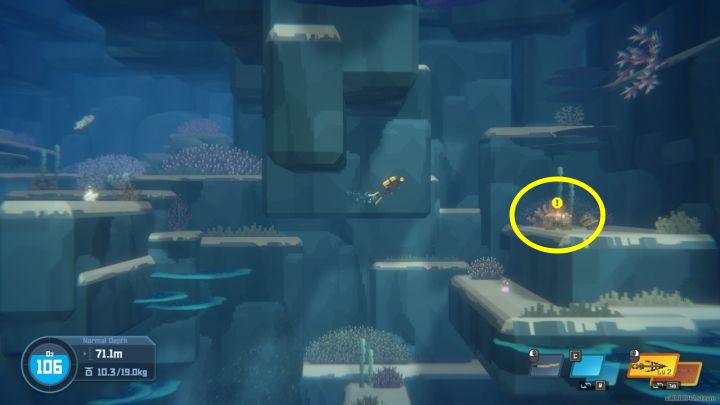 3 - Dave the Diver: Jak zaliczyć quest Where the Currents Flow? - Dave the Diver - poradnik do gry