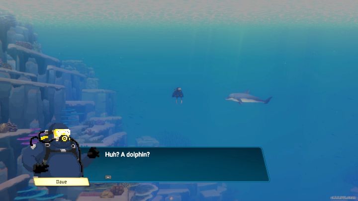 1 - Dave the Diver: Jak pomóc delfinom? - Dave the Diver - poradnik do gry