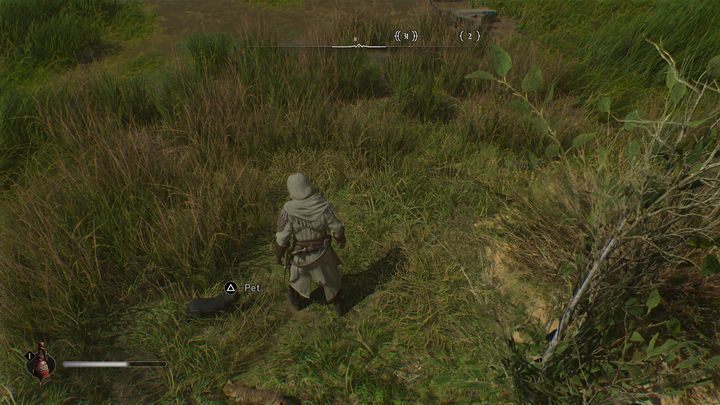 Gdy znajdziecie już kotka, możecie śmiało do niego podejść - AC Mirage: Czy można głaskać koty? - AC Mirage - poradnik do gry