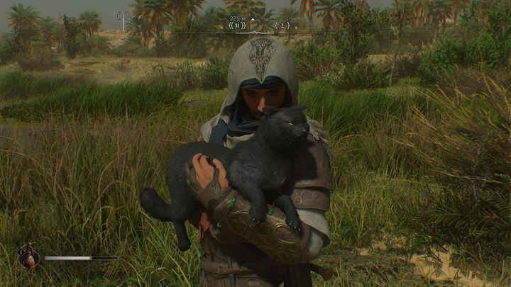 Basim uniesie zwierzaka na ręce i czule pogłaska zadowolonego zwierzaka - AC Mirage: Czy można głaskać koty? - AC Mirage - poradnik do gry