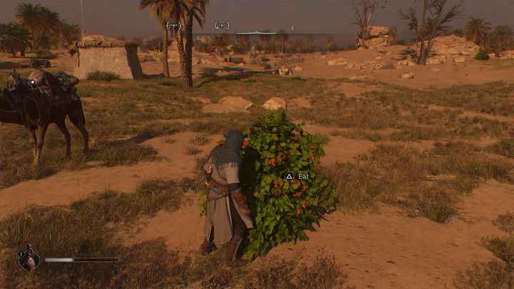 Znajdowane na ulicach Bagdadu posiłki z kramów czy dziko rosnące owoce pozwolą Wam odzyskać część straconego zdrowia - AC Mirage: Porady na start - AC Mirage - poradnik do gry
