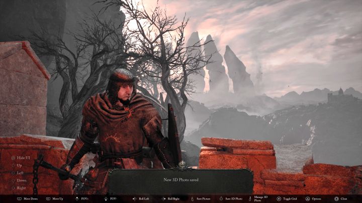 Po przygotowaniu zdjęcia dostępne są 2 główne opcje - Lords of the Fallen: Tryb fotograficzny i zdjęcia 3D - Lords of the Fallen - poradnik do gry