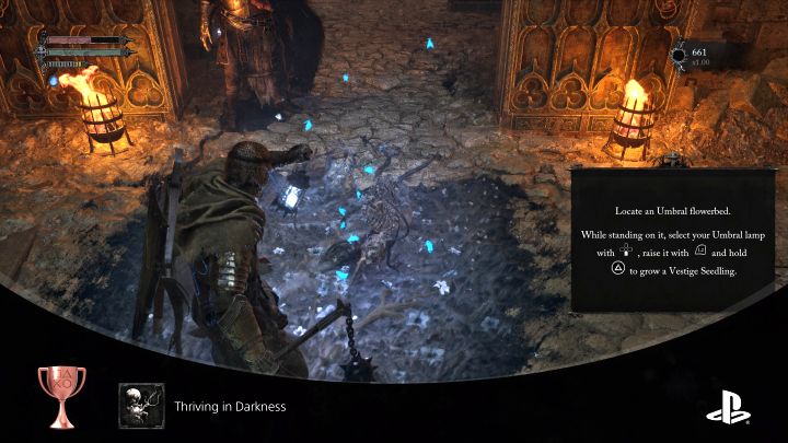 Sposób odblokowania: Użyj sadzonki szczątków - Lords of the Fallen: Trofea / Osiągnięcia - lista wszystkich, poradnik trofeowy - Lords of the Fallen - poradnik do gry