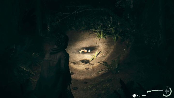 Strażnica leśna jest w południowej części lasu i okolicę tę możecie odwiedzić po pokonaniu bossa w Kolizji w Domu Opieki Walhalla - Alan Wake 2: Wszystkie zagadki rymowanek w Bright Falls - Alan Wake 2 - poradnik do gry