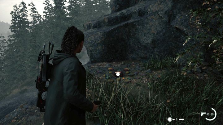 1 - Alan Wake 2: Wszystkie śniadaniówki z A. Caseyem - Watery - Alan Wake 2 - poradnik do gry