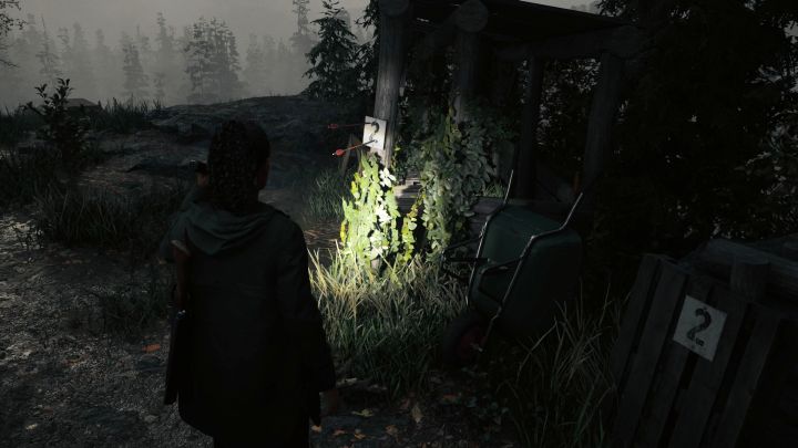 5 - Alan Wake 2: Wszystkie zagadki skrytek kultu w Watery - Alan Wake 2 - poradnik do gry