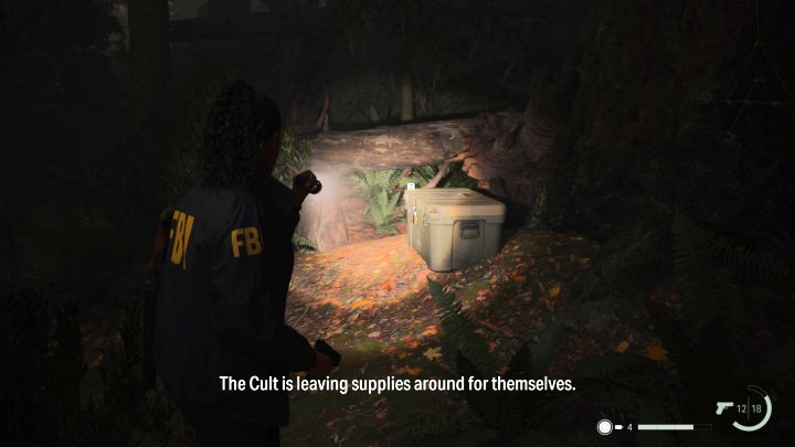 8 - Alan Wake 2: Wszystkie zagadki skrytek kultu w Cauldron Lake - Alan Wake 2 - poradnik do gry
