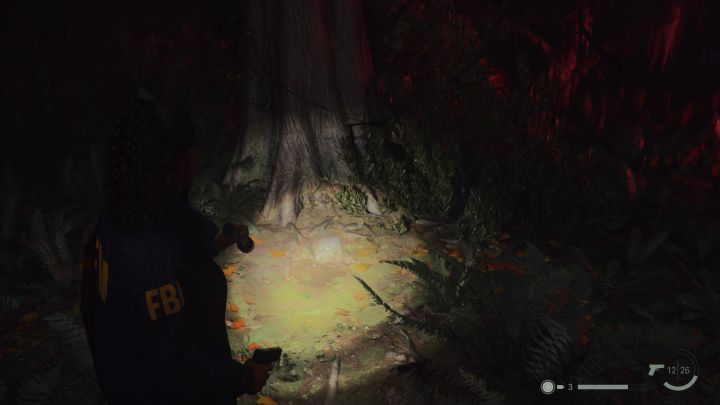 To druga ze stron do zdobycia podczas poszukiwań Nightingalea - Alan Wake 2: Wszystkie strony maszynopisu - Return 1-3 - Alan Wake 2 - poradnik do gry