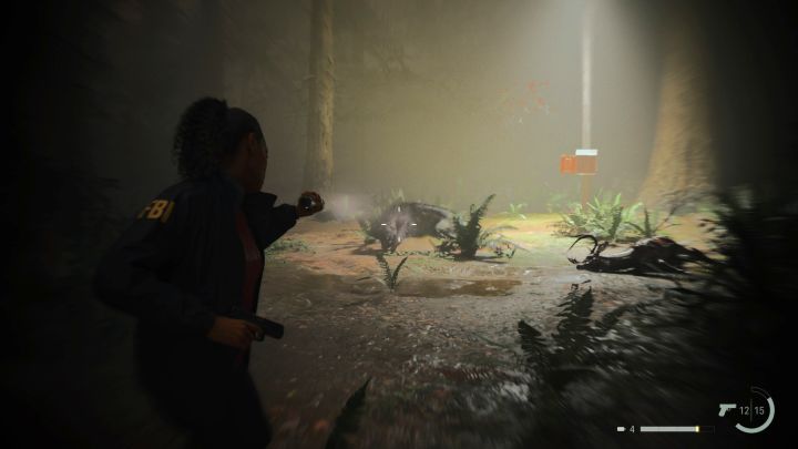 3 - Alan Wake 2: Porady na start - Alan Wake 2 - poradnik do gry