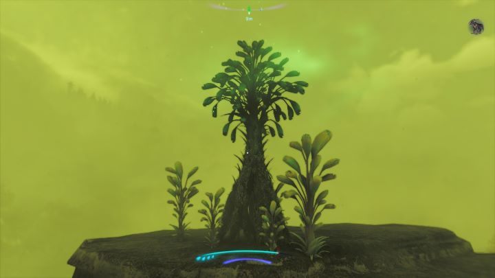 73 - Avatar Frontiers of Pandora: Wszystkie dzwonopędy - Chmurny Las, mapa - Avatar Frontiers of Pandora - poradnik do gry