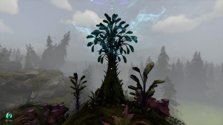 67 - Avatar Frontiers of Pandora: Wszystkie dzwonopędy - Chmurny Las, mapa - Avatar Frontiers of Pandora - poradnik do gry