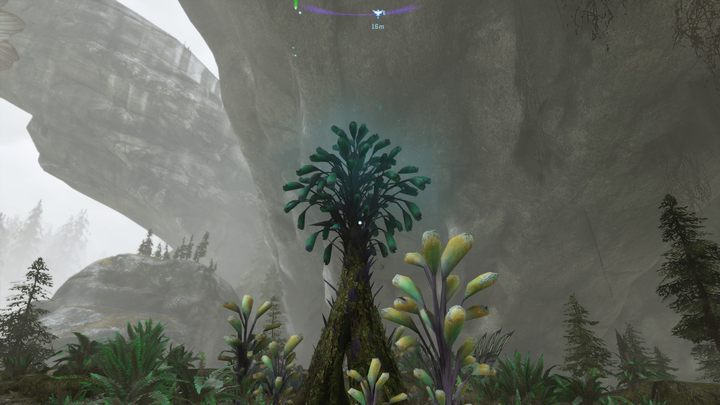 53 - Avatar Frontiers of Pandora: Wszystkie dzwonopędy - Chmurny Las, mapa - Avatar Frontiers of Pandora - poradnik do gry