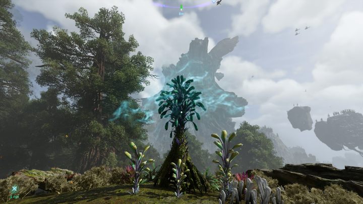 43 - Avatar Frontiers of Pandora: Wszystkie dzwonopędy - Chmurny Las, mapa - Avatar Frontiers of Pandora - poradnik do gry