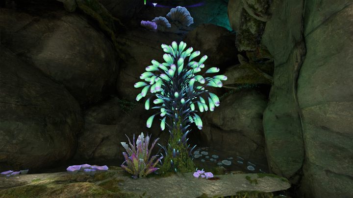 41 - Avatar Frontiers of Pandora: Wszystkie dzwonopędy - Chmurny Las, mapa - Avatar Frontiers of Pandora - poradnik do gry