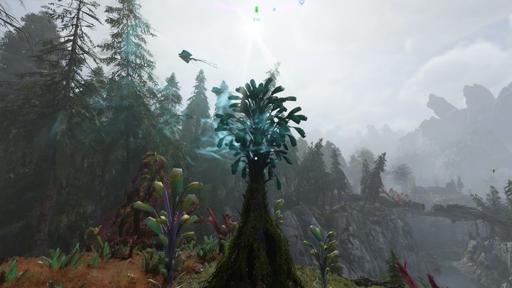 23 - Avatar Frontiers of Pandora: Wszystkie dzwonopędy - Chmurny Las, mapa - Avatar Frontiers of Pandora - poradnik do gry