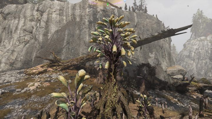 21 - Avatar Frontiers of Pandora: Wszystkie dzwonopędy - Chmurny Las, mapa - Avatar Frontiers of Pandora - poradnik do gry