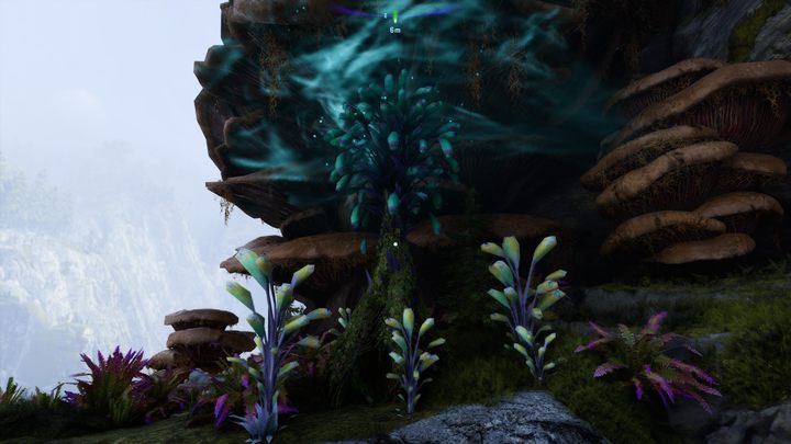 17 - Avatar Frontiers of Pandora: Wszystkie dzwonopędy - Chmurny Las, mapa - Avatar Frontiers of Pandora - poradnik do gry